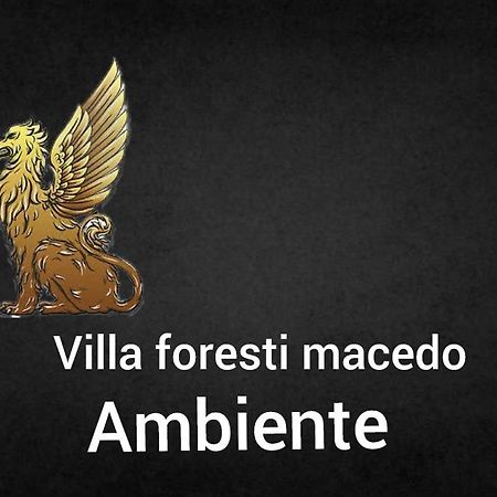Ambiente Foresti Macedo Грамаду Екстериор снимка